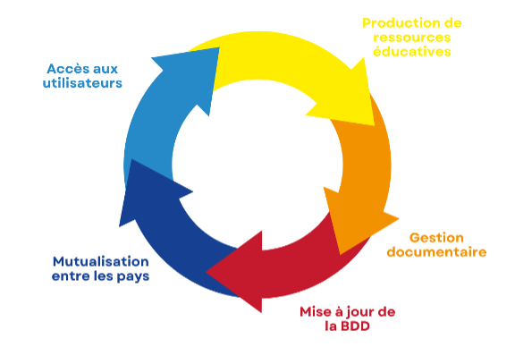 cycle de vie bad